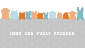 Meet Our Furry Friends